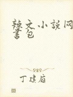 辣文小说网第二书包
