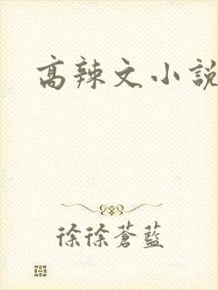 高辣文小说
