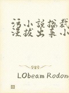 污小说总裁整夜没拔出来小说在线阅读