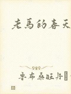 老马的春天敏静
