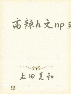 高辣h文np爽