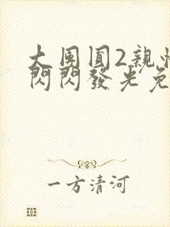 大团圆2亲情会闪闪发光免费