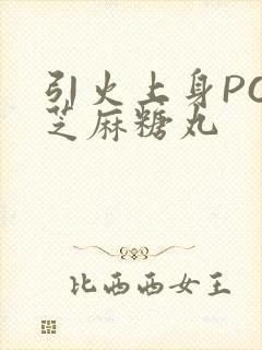 引火上身POP芝麻糖丸