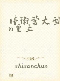 暗卫营大型hpn皇上