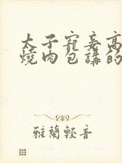 太子宠妾高肉红烧肉包讲的什么