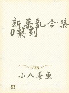 新岳乱合集500系列