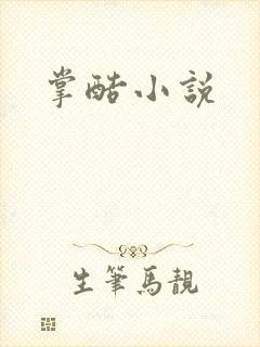 掌酷小说