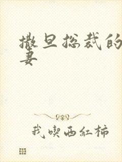 撒旦总裁的下堂妻