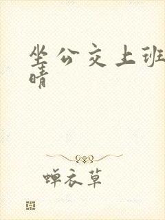 坐公交上班的苏晴