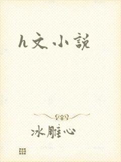 h文小说
