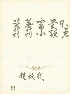 荣华富贵9小王莉莉小说免费阅读