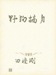 野狗摘月