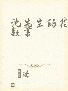 沈先生的花式调数书