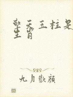 擎天玉柱是什么生肖