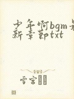 少年啊bgm最新章节txt