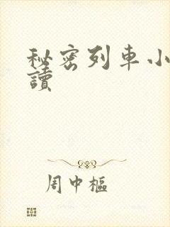 秘密列车小说阅读