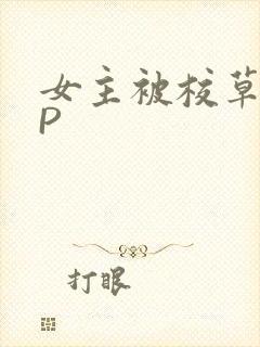 女主被校草们NP