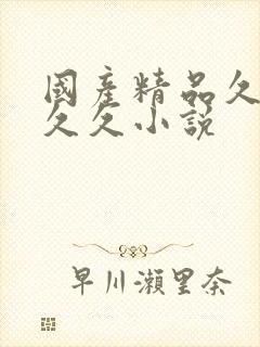 国产精品久久久久久小说