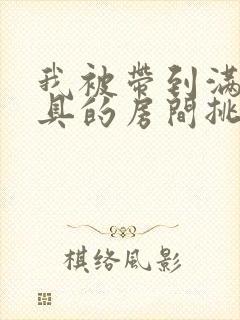 我被带到满是玩具的房间挑调游戏