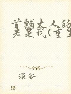 首辅大人的白月光是我(重生)