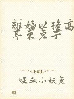 离婚以后高干 耳东兔子