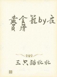 黄金笼by夜很贫瘠