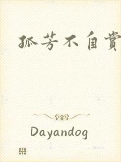 孤芳不自赏小说