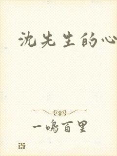 沈先生的心头宝