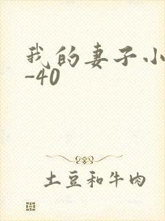 我的妻子小谨1-40