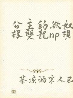 公主的欲奴h四根双龙np视频