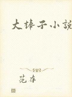 大棒子小说