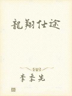 龙翔仕途