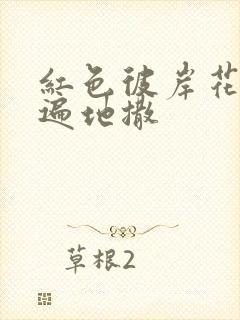 红色彼岸花花瓣遍地撒