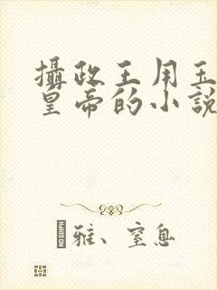 摄政王用玉髓整皇帝的小说