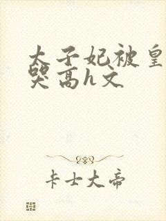 太子妃被皇上c哭高h文