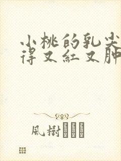 小桃的乳尖被吸得又红又肿