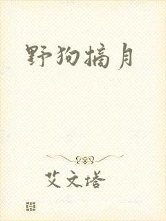 野狗摘月