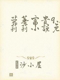 荣华富贵9小王莉莉小说免费阅读