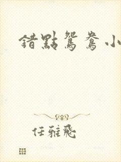 错点鸳鸯小说