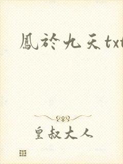 凤于九天txt