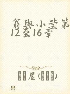 翁与小莹第十部12至16章