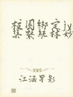 校园绑定jy收集系统林妙妙