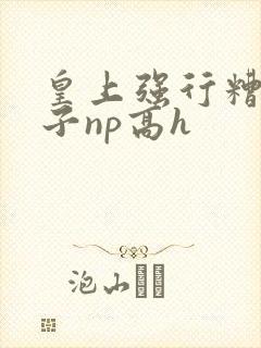 皇上强行糟蹋太子np高h