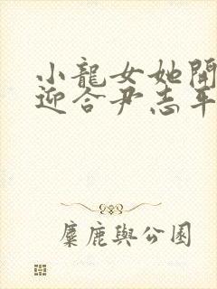 小龙女她开始慢迎合尹志平