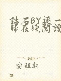 钻石BY逐一而归在线阅读