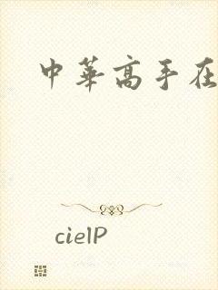 中华高手在异世