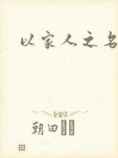 以家人之名小说