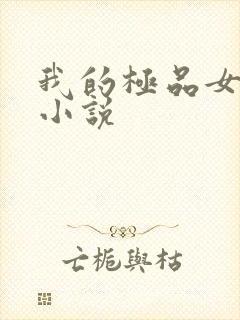 我的极品女老师小说