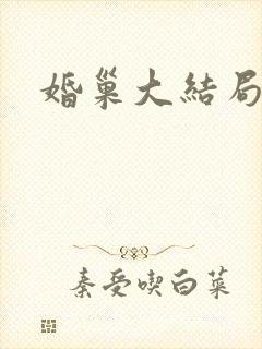 婚巢大结局