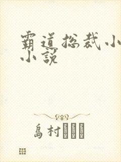 霸道总裁小娇妻小说